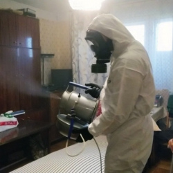 Дезинфекция от клопов в Мариинске